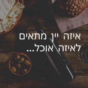 איזה יין מתאים לאיזה אוכל